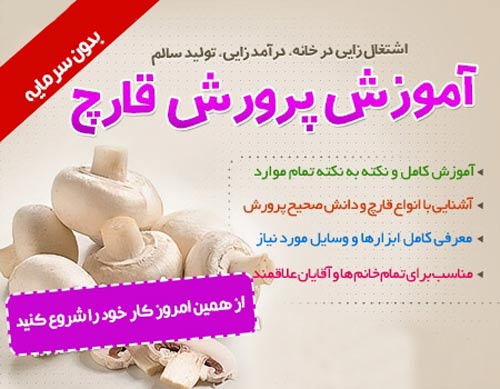 خرید آموزش پرورش قارچ