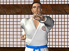 آموزش ضربات دست در ورزش کاراته (قسمت دوم)