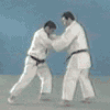 http://judoinfo.com/images/animations/KOUCHI-GAESHI.gif
