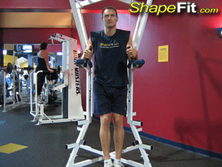abs-exercises-knee-raises-on-parallel-bars.gif