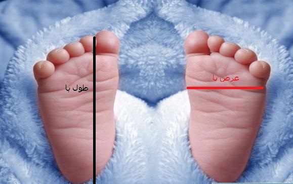 baby foot_4a3b998c7b7d3