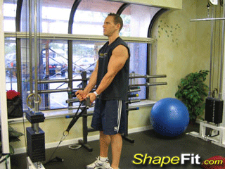 biceps-exercises-cable-hammer-curls-rope-attachment.gif