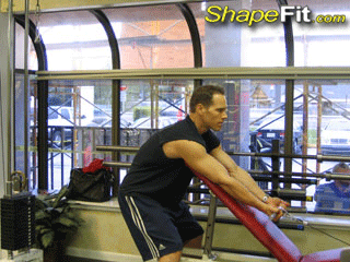 biceps-exercises-cable-preacher-curls.gif