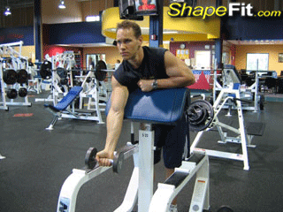 biceps-exercises-one-arm-dumbbell-preacher-curls.gif