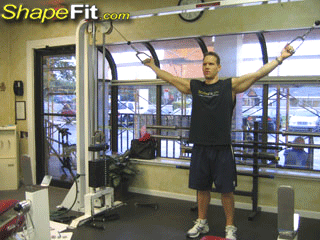 biceps-exercises-overhead-cable-curls.gif