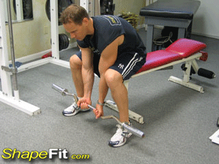 biceps-exercises-seated-close-grip-concentration-barbell-curls.gif