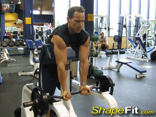 biceps-exercises-spider-curls.gif