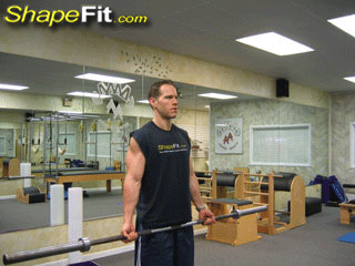 biceps-exercises-wide-grip-standing-barbell-curls.gif