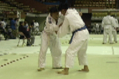 http://judoinfo.com/images/animations/ouchigaeshi.gif