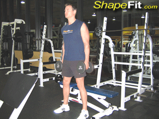 quadriceps-exercises-dumbbell-squats-to-bench.gif