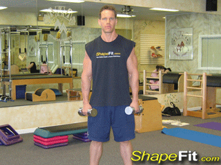 shoulder-exercises-side-lateral-raises.gif