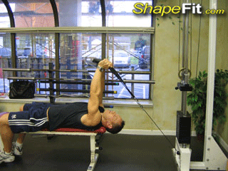 triceps-exercises-low-cable-tricep-extensions.gif
