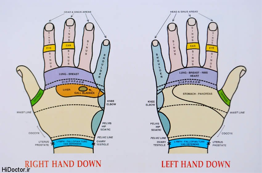 ,ماساژ دستها و اثرات آن,گيرنده هاي قابل لمس,كف دستها,طب سنتي و گياهان دارويي-داروي گياهي