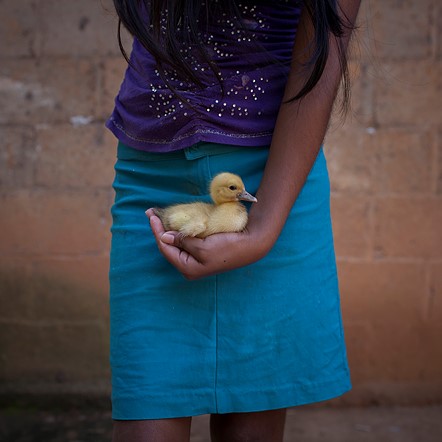 اين عكس متعلق گلورياي ۱۳ ساله در دهكده‌اي نزديك Oaxaca در مكزيك گرفته شده است. او با مادر و ۸ خواهر و برادر در يك خانه كوچك زندگي مي‌كند. گلوريا در سن ۱۲ سالگي مادر بودن را به صورت ناخواسته تجربه كرد.