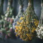 استفاده از گیاهان دارویی