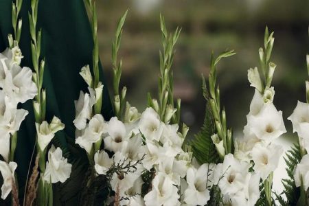 گلایل؛ همدلی با خانواده متوفی