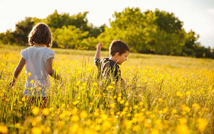 کودکان در مزرعه در حال بازی 