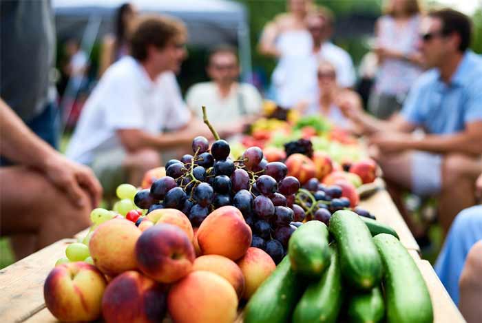مهمانی‌های خانوادگی تابستانی