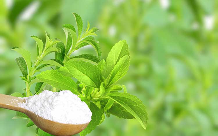 استویا (از برگ گیاه)