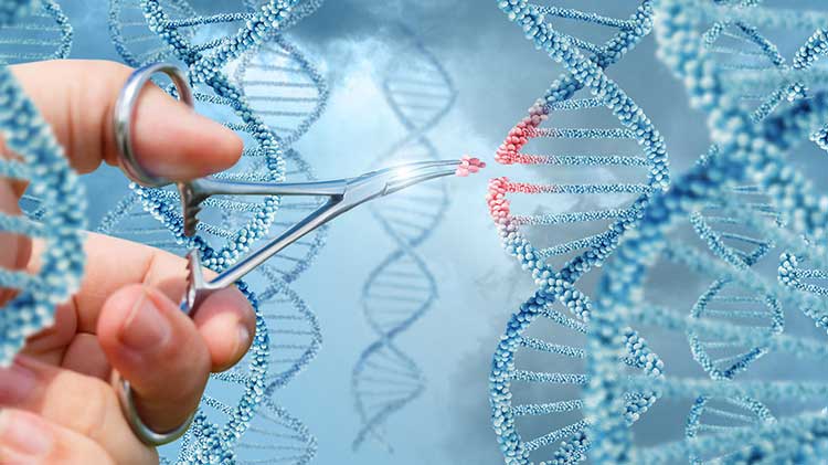 اطلاعات عمومی | هوش مصنوعی